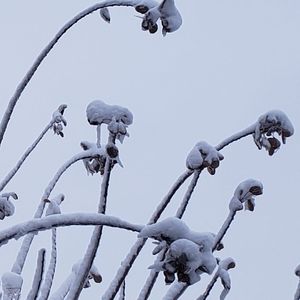 Meet your Posher, Ju hae